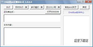 OneBlue正則表達式工具 1.1.0.0單文件版助您高效調(diào)試